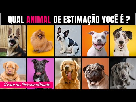 QUAL ANIMAL DE ESTIMAÇÃO VOCÊ É ? -Teste de Personalidade