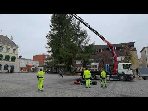 KILLE FÅR nästan en 15 METER JULGRAN i HUVUDET på RONNEBY TORG i NOVEMBER 2021 (lång titel på video)