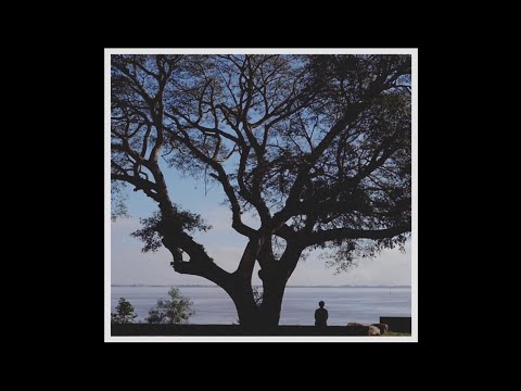 Thiago Ramil - Leve Embora (Álbum Completo) - Disco visual