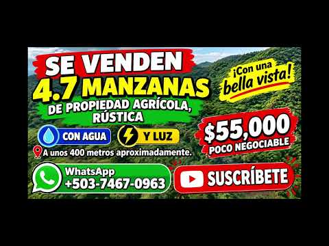 4.7 manzana $55,000 poco negociable 