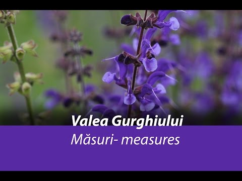 Valea Gurghiului- Peisaje pentru viitor /Gurghiu Valley- future landscapes