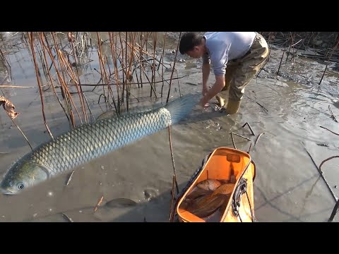 魚塘
