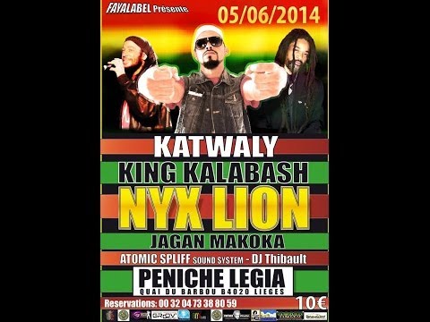 Teaser | NYX LION EUROPE TOUR 2014 | by KING KALABASH
