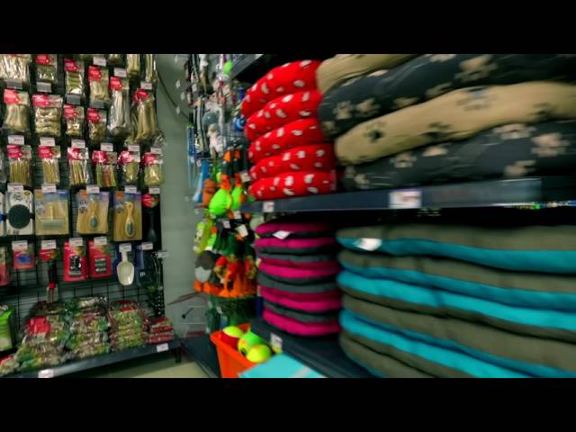 La création d&rsquo;une franchise Marché Aux Affaires de A à Z