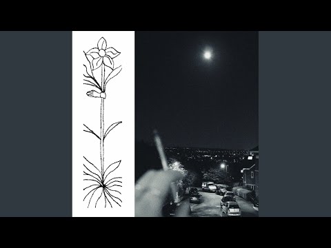 If I Asked You, You'd Tell Me