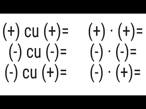 Regula semnelor la adunare si la inmultire - Matematica pe intelesul tuturor cu  Camelia Chira