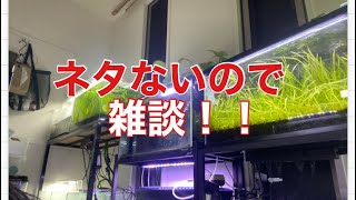 ネタないので雑談！アクアリウム系です！ラジオ感覚で聴いてください