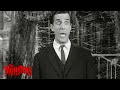Human Herman The Munsters