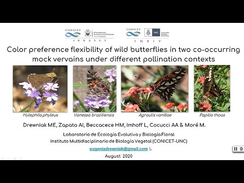 Virtual poster n°30 - Maria Eugenia Drewniak