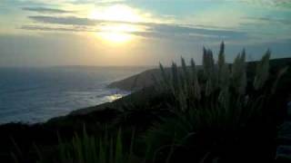 astroPuppees "Orange" (Kelley Ryan/John Street)