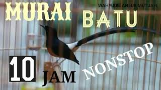 Download lagu 10 jam nonstop full suara merdu kicauan murai batu. mp3 Download lagu 10 jam nonstop full suara merdu kicauan murai batu. mp3