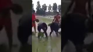 Download lagu Bukik bunian mp3 Download lagu Bukik bunian mp3