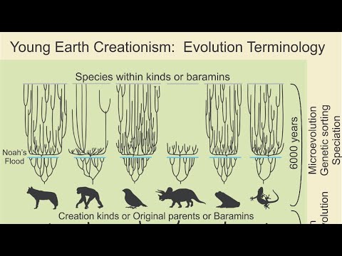 CRS Presentation Rehearsal 1