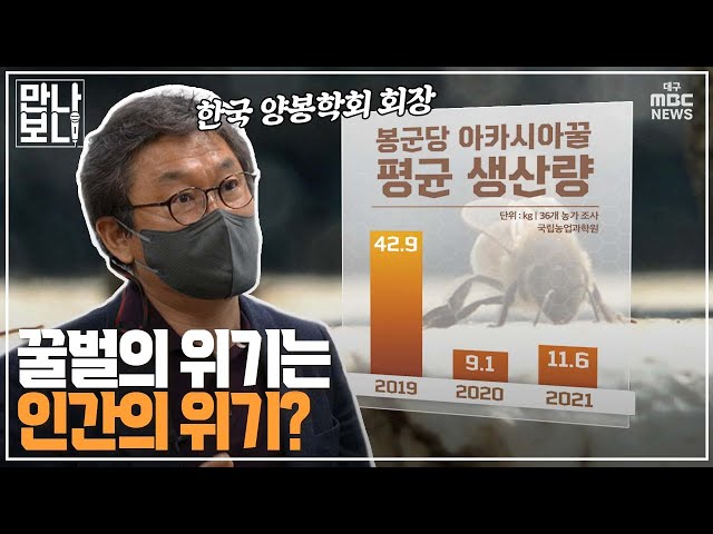 안동MBC - 꿀벌의 위기는 인간의 위기? (정철의 교수 출연)