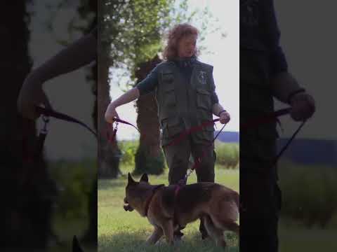 Video di BAGHERA