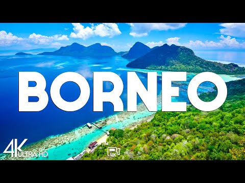 Top 10 Best Things to Do in Borneo - Travel Guide 2025