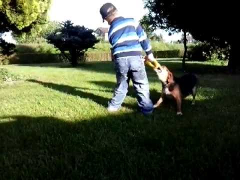 due pesti 19 maggio 2013