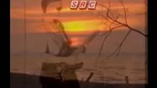 Download lagu Ku Miliki Jua - Newboyz (Karaoke HD) mp3