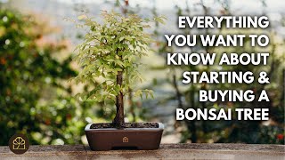 Beginner Bonsai Series - Chapter 9: Where to Get Bonsai Material + Soil & Watering Basics