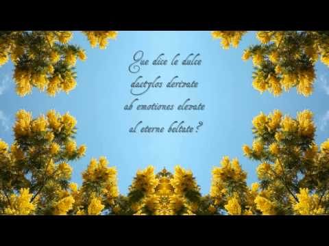 Kalena (poema in interlingua)