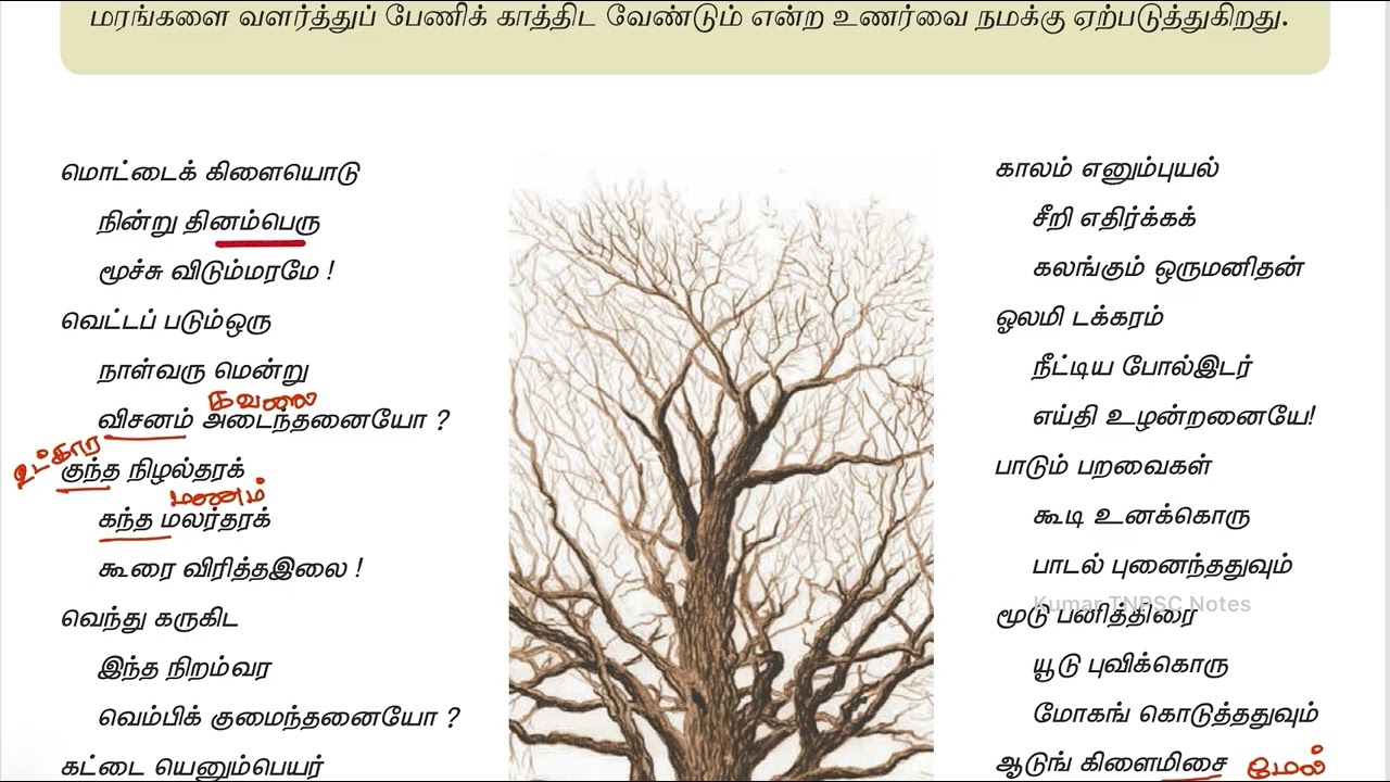 100 Day Study Plan - 9th தமிழ் புதிய பத்தகம் - இயல் 02 - பட்டமரம் - Line By Line E