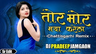Download lagu Tor Mor Maya Karela Chani Tura Re ( Cg Rmx ) Dj Pradeep Jamgaon mp3