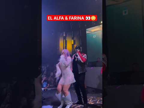 El Alfa prende las redes con FARINA 👀😳 #video #Viral #farinamusic #farina #fyp #elalfaeljefe #elalfa