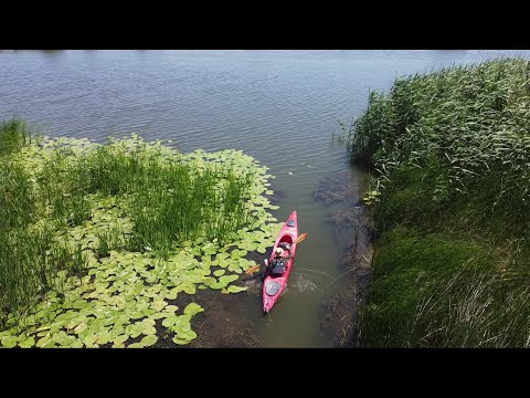 Aventura in Delta Dunarii,Sf. Gheorghe. | Marea Neagra| Romania