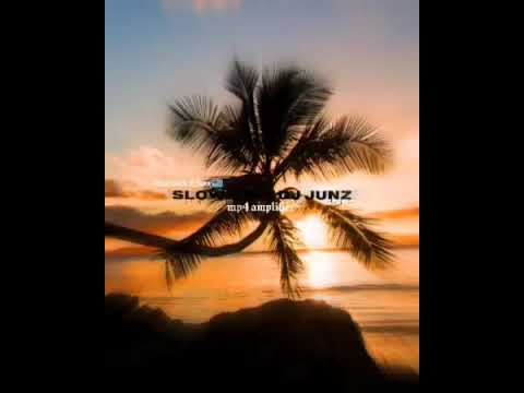 DJ JUNZ ft fireboy DML- you (pakx remix)