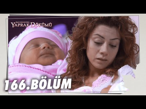Yaprak Dökümü 166. Bölüm - Full Bölüm