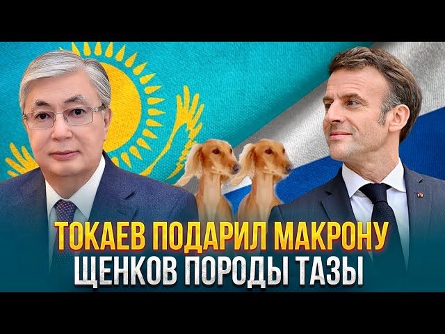 Главные новости 07.02.2024 г.