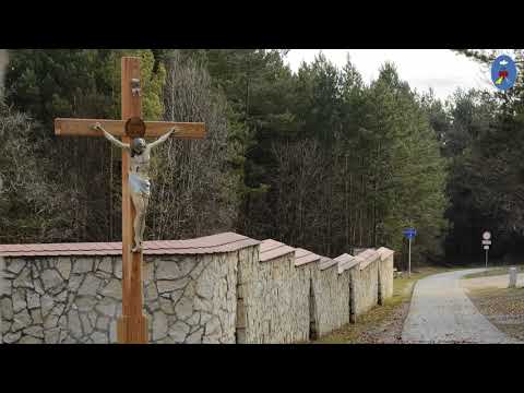 Pustelnia 16.04.2020 - Kazanie