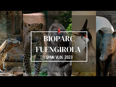 A TRIP TO BIOPARC ZOO IN FUENGIROLA, COSTA DEL SOL,SPAIN / FULL TOUR MARCH 2023.