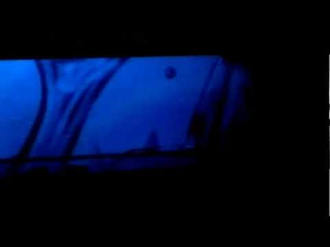 PNZKJS live club Granit plzen 2012 30,6