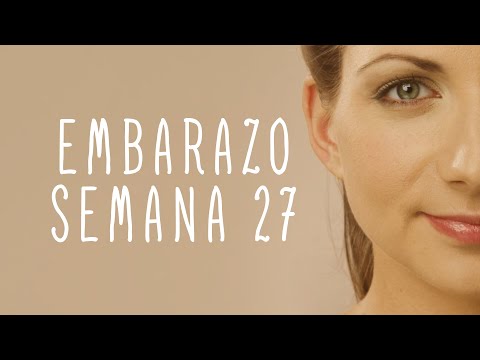 Calendario De Embarazo - Semana 27