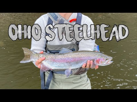 Ohio Steelhead Fishing!