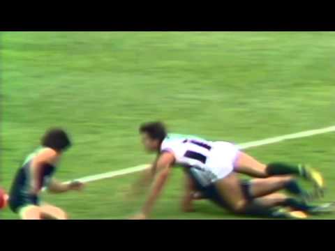 Magnificent Falcon on Bruce Reid - Fail