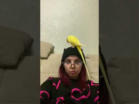 Виола Кьют - Вся Планета