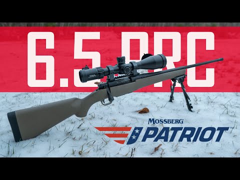 The CHEAPEST 6.5 PRC!  Mossberg's Patriot Predator 6.5 PRC Detailed Review!