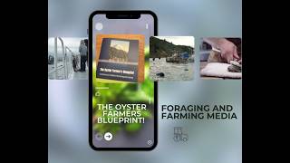 The Oyster Farmer's Blueprint - US Shellfish Permitting & Leasing