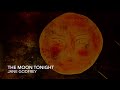The Moon Tonight by Jane Godfrey