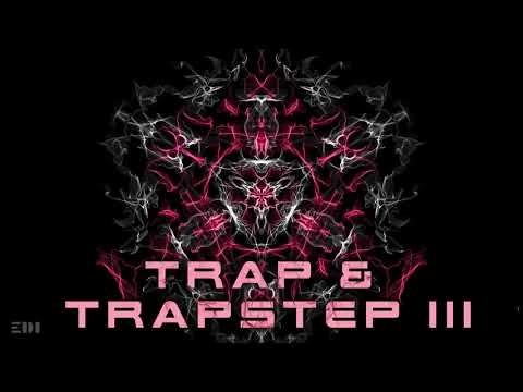 Electronic Trap & Trapstep selection 3