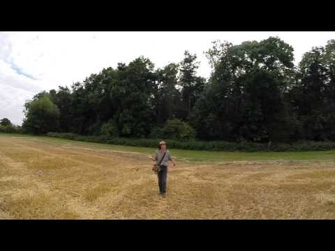 Falcon in slow motion