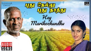 Download lagu Hey Marikozhundhu Song | Pudhu Nellu Pudhu Naathu Movie | Ilaiyaraaja | Sukanya | S Janaki mp3 Download lagu Hey Marikozhundhu Song | Pudhu Nellu Pudhu Naathu Movie | Ilaiyaraaja | Sukanya | S Janaki mp3