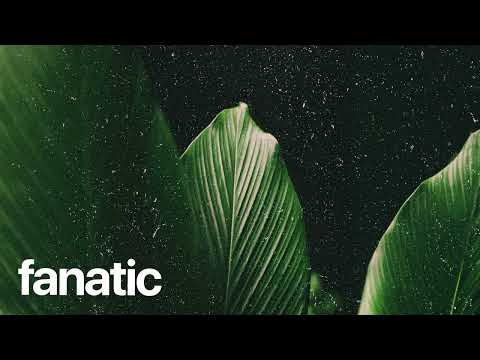 (FREE) | "Fanatic" | Rema x Victony x Tiwa Savage Beat | Free Beat | Afrobeat Instrumental 2025