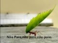 Não pare - Ronaldo Santos Não pare - Ronaldo Santos
