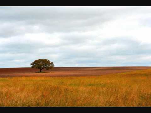 Luis de Freitas Branco - Suite Alentejana no.2 (Final)