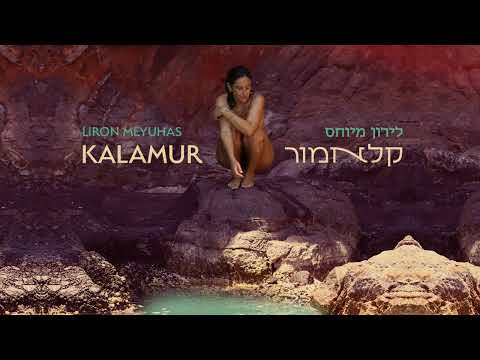 Liron Meyuhas / לירון מיוחס - Many waters מים רבים