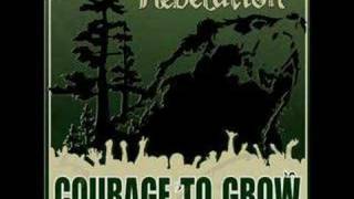 Rebelution - Nightcrawler