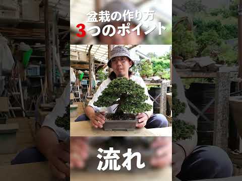屋内および屋外の盆栽の選択とメンテナンス: 初心者でもプロのように矮性の木の世話をする  庭園